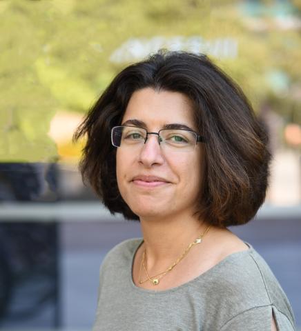 Roya Bahreini